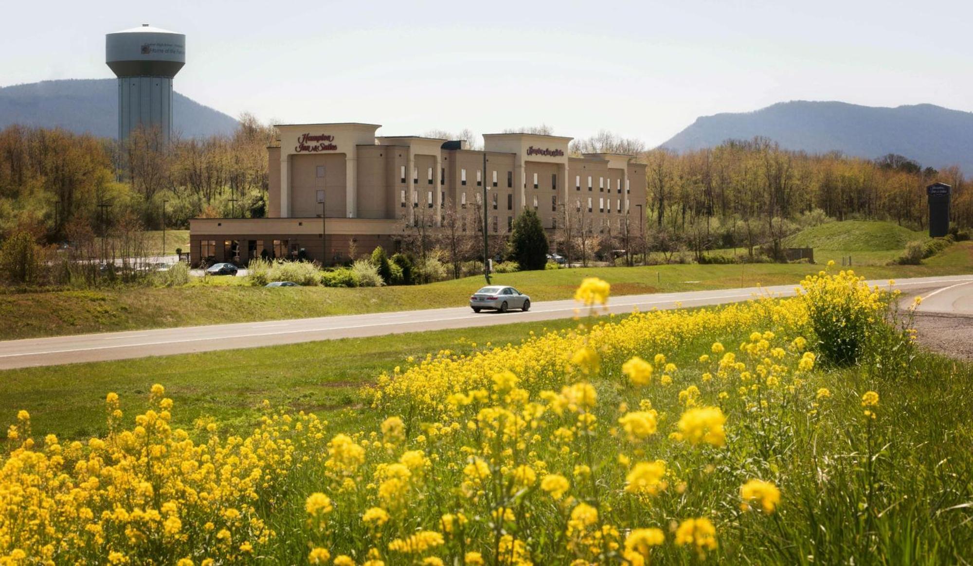 Hampton Inn And Suites Woodstock, Virginia Экстерьер фото